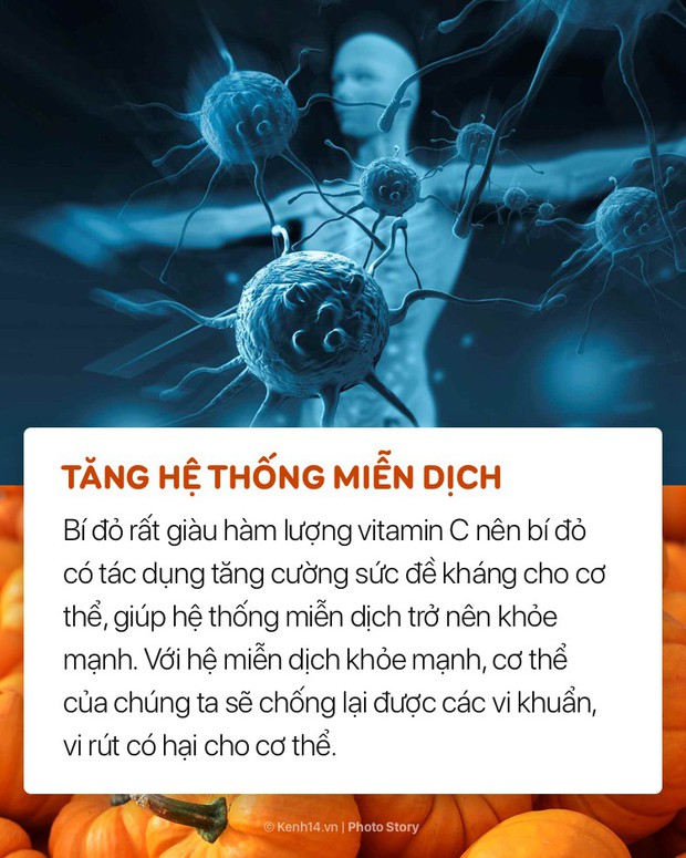 Bí ngô Halloween không chỉ dùng để trang trí mà còn có lợi cho sức khỏe - Ảnh 9.