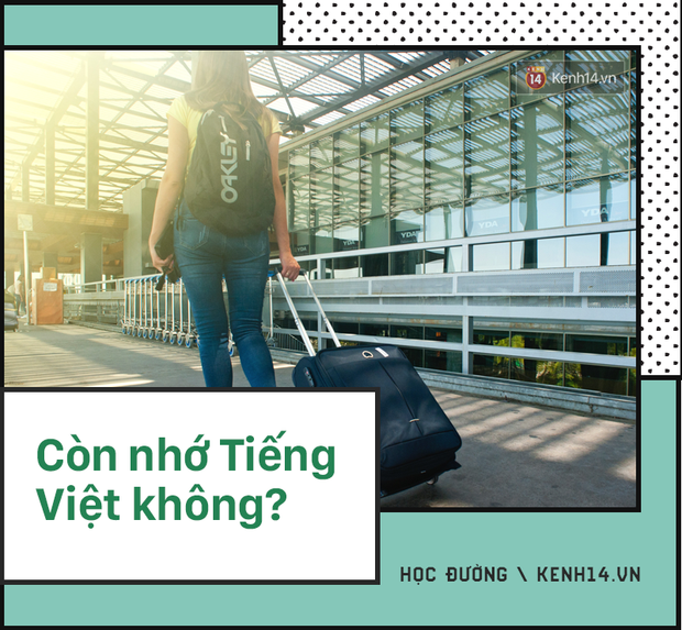 Du học sinh về nước bị hỏi những câu kém sang đến nực cười: Còn nhớ Tiếng Việt không? Thành Việt kiều rồi nhỉ? - Ảnh 1.