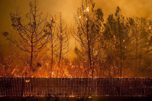Cháy rừng tại California: Khu nhà giàu thất thủ, hàng loạt dinh thự triệu đô của đại gia và celeb bị thiêu trụi - Ảnh 5.