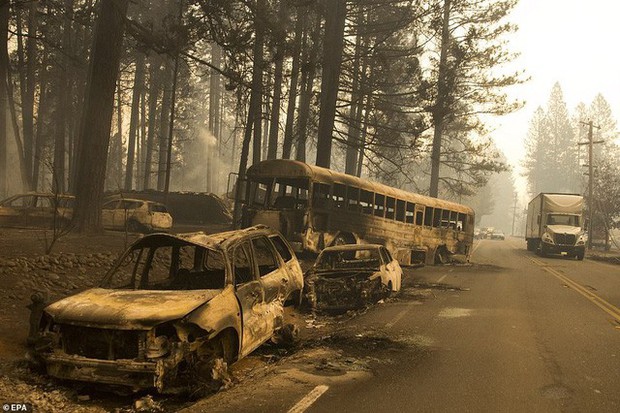 Toàn cảnh vụ cháy rừng thảm khốc nhất lịch sử California: Rất nhiều gia đình đã mất đi tổ ấm - Ảnh 9.