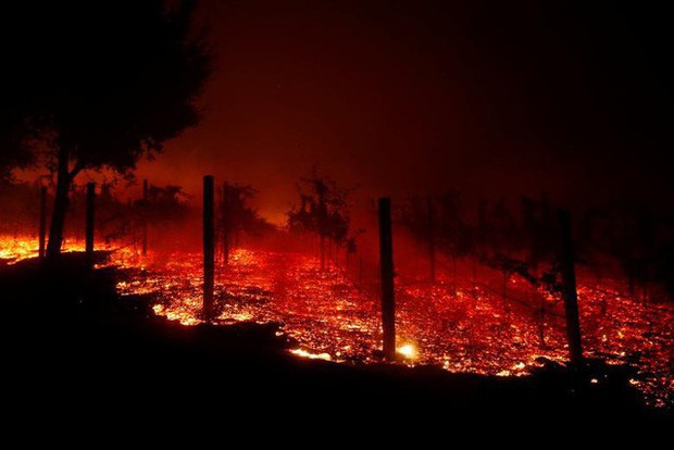 Toàn cảnh vụ cháy rừng thảm khốc nhất lịch sử California: Rất nhiều gia đình đã mất đi tổ ấm - Ảnh 10.