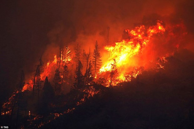 Toàn cảnh vụ cháy rừng thảm khốc nhất lịch sử California: Rất nhiều gia đình đã mất đi tổ ấm - Ảnh 3.