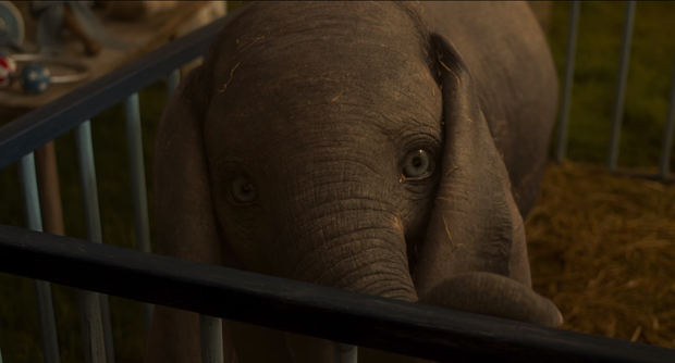 Chú voi biết bay Dumbo cute như một sinh vật huyền bí thuộc ở thế giới phép thuật trong trailer vừa tung - Ảnh 4.