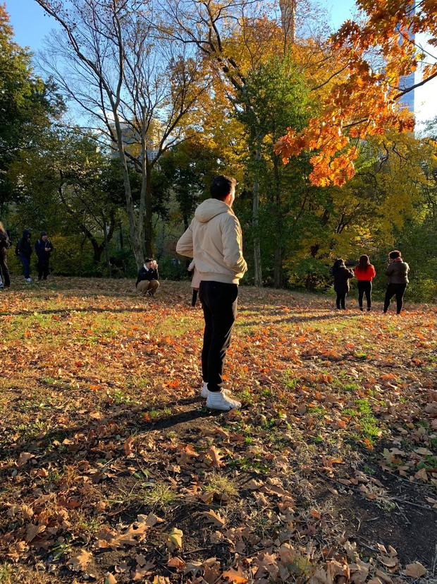 Khám phá khả năng chụp ảnh ấn tượng của iPhone XS Max vào một ngày thu ở Central Park - Ảnh 10.