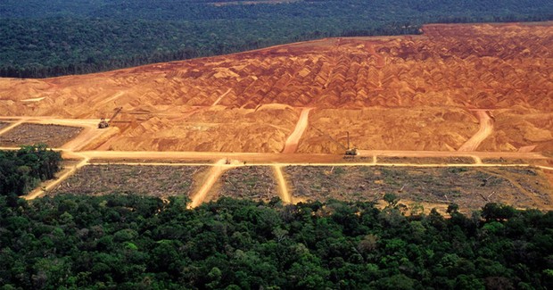 Tiết lộ gây sốc: Rừng Amazon đang bị hủy diệt với tốc độ chưa từng thấy trong 10 năm qua - Ảnh 3.
