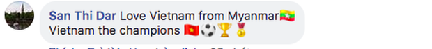 Việt Nam đánh bại Malaysia, dân mạng nước ngoài hết lời khen ngợi và chúc mừng tân quán quân AFF Cup 2018 - Ảnh 9.