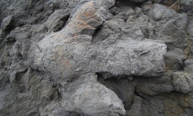 Tìm thấy 85 dấu chân khủng long tại Anh sau khi có bão mạnh quét qua? - Ảnh 1.