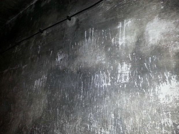 Những bức ảnh xúc động có giá trị hơn ngàn lời nói - Ảnh 5.