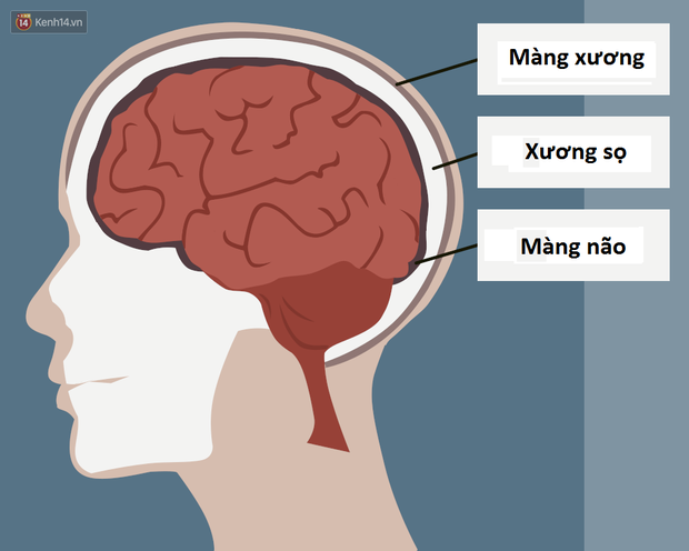 Mổ phanh não khi bệnh nhân vẫn đang tỉnh? Phương pháp nghe thì ghê rợn này ngày càng phổ biến và đây là lý do - Ảnh 2.