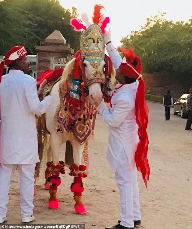 Nick Jonas và Hoa hậu Thế giới chuẩn bị cả ngựa, voi để tổ chức hôn lễ truyền thống Ấn Độ - Ảnh 1.