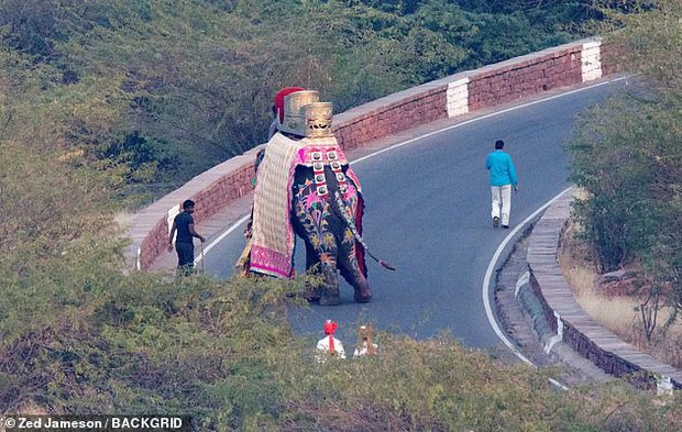 Nick Jonas và Hoa hậu Thế giới chuẩn bị cả ngựa, voi để tổ chức hôn lễ truyền thống Ấn Độ - Ảnh 4.