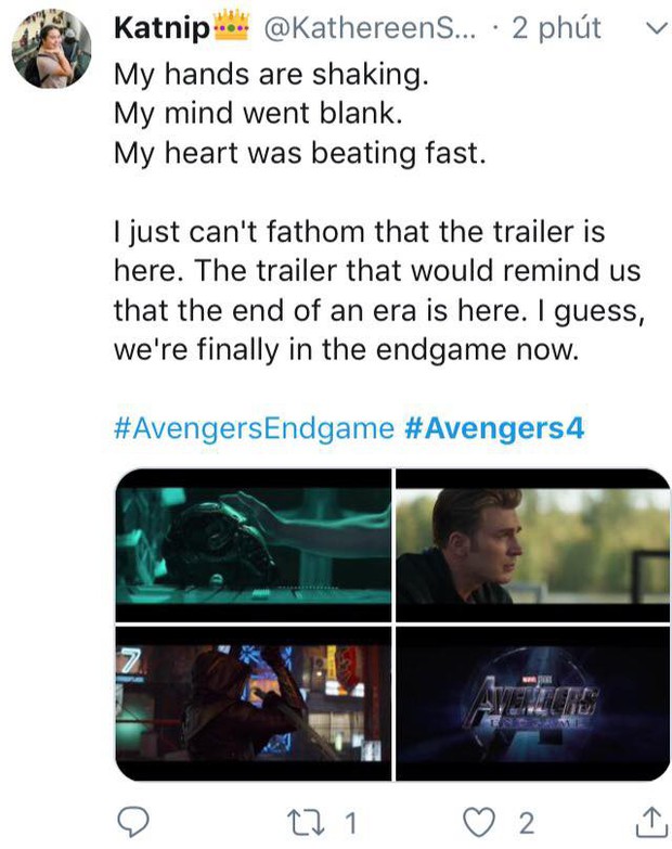 Cư dân mạng khóc thét khi chứng kiến các siêu anh hùng khốn khổ trong trailer Avengers: Endgame - Ảnh 9.
