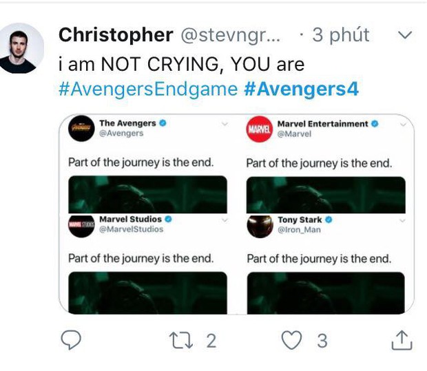 Cư dân mạng khóc thét khi chứng kiến các siêu anh hùng khốn khổ trong trailer Avengers: Endgame - Ảnh 8.