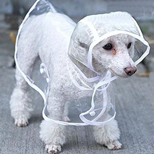 Trời mưa lạnh thế này, sắm ngay một chiếc áo mưa siêu cấp đáng yêu cho cún thôi nào - Ảnh 3.