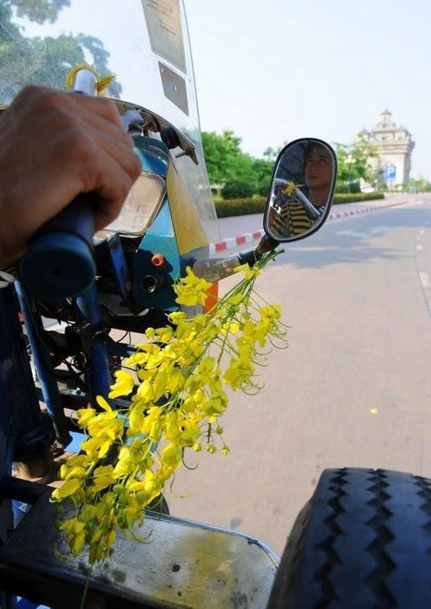 Tết Việt Nam thì không thể thiếu đào mai, còn người dân châu Á trưng hoa gì trong năm mới để có nhiều may mắn tài lộc? - Ảnh 3.