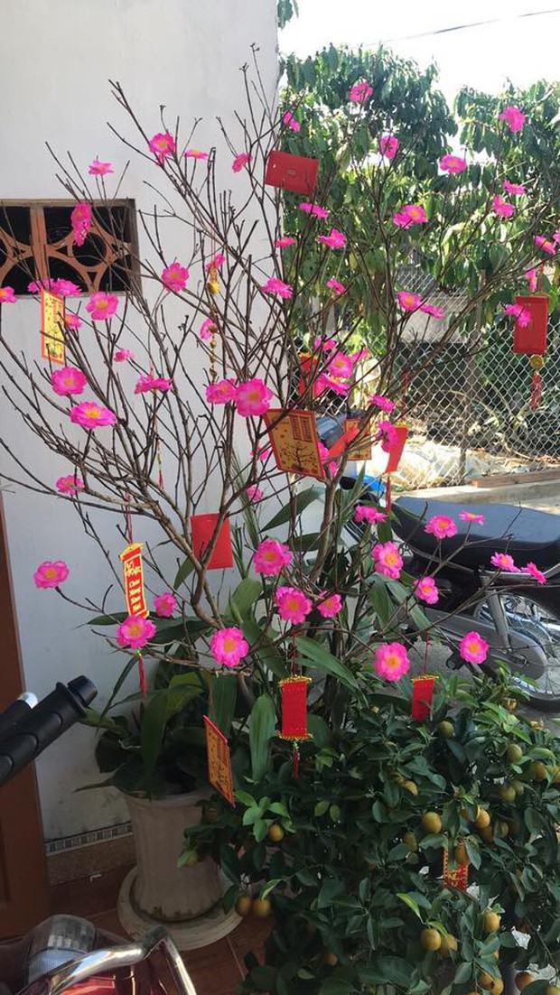 Thanh niên sáng tạo hướng dẫn làm cây mai fake 1 giống y hàng xịn chỉ với 40 nghìn đồng - Ảnh 6.