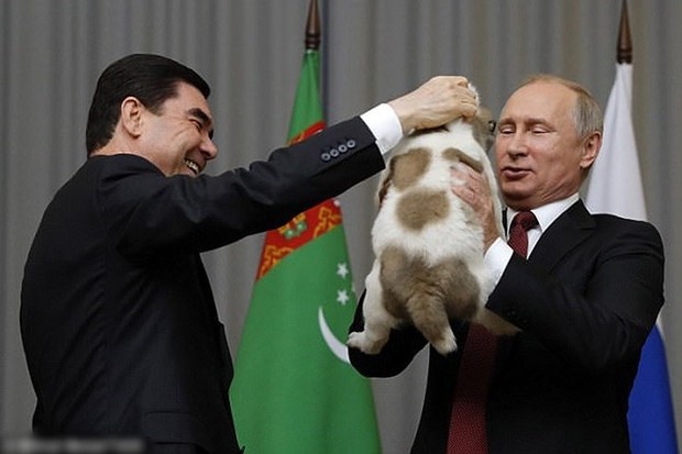 Ảnh: Niềm đam mê chó bất tận của Tổng thống Nga Putin - Ảnh 14.