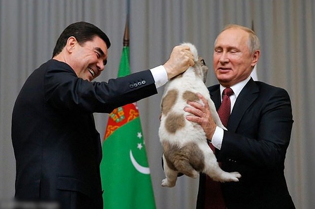 Ảnh: Niềm đam mê chó bất tận của Tổng thống Nga Putin - Ảnh 15.