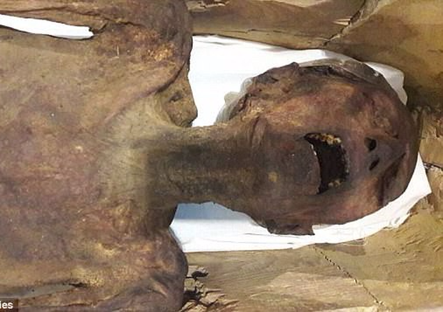 Xác ướp la hét bí ẩn và âm mưu đáng sợ trong Hoàng gia Ai Cập cách đây 3.000 năm - Ảnh 1.