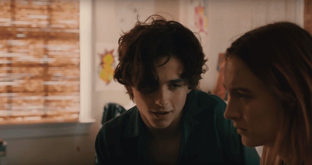 Khi trái đào Timothée Chalamet quyến rũ con gái tân trong Lady Bird - Ảnh 4.