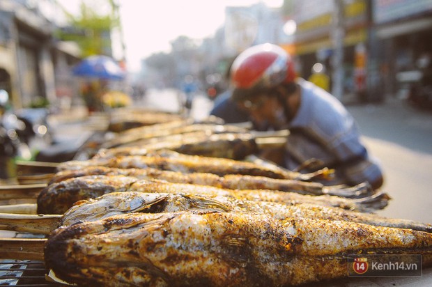 Hàng chục tấn cá lóc giá 150.000 đồng/con được tiêu thụ trong ngày Thần tài ở Sài Gòn - Ảnh 9.
