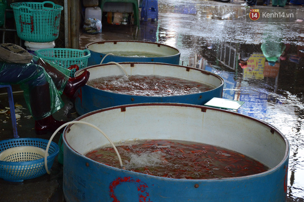 Chợ cá lớn nhất Hà Nội nhộn nhịp trước giờ ông công ông táo về chầu trời - Ảnh 2.