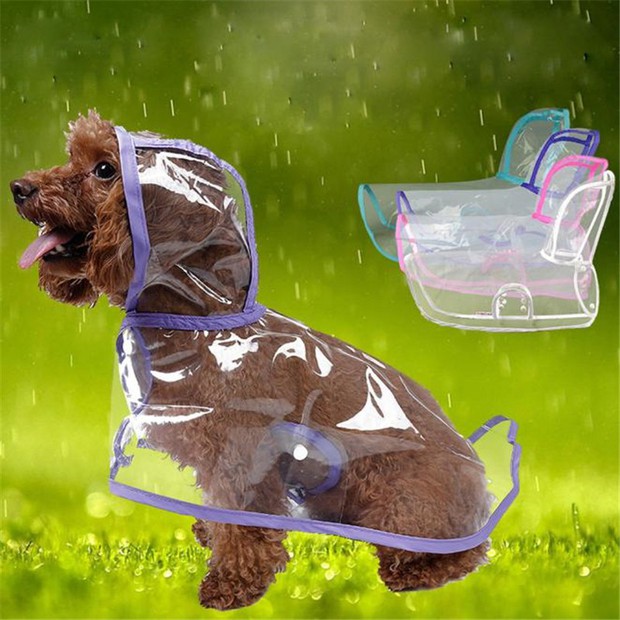 Trời mưa lạnh thế này, sắm ngay một chiếc áo mưa siêu cấp đáng yêu cho cún thôi nào - Ảnh 1.