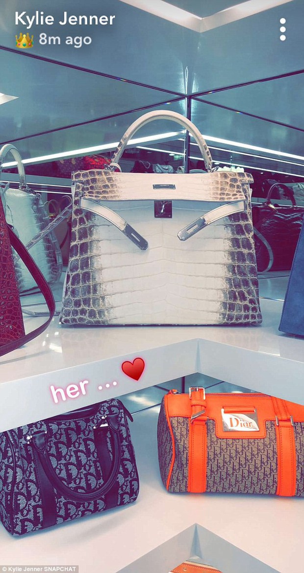 Đẳng cấp giàu có của Kylie Jenner ở tuổi 20: Chỉ bộ sưu tập túi xách đã có giá tới 22 tỷ đồng! - Ảnh 3.