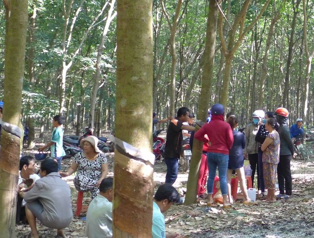 Bắt giữ nghi can hiếp dâm bé gái 4 tuổi, ném xác xuống giếng trong rừng cao su ở Bình Phước - Ảnh 2.