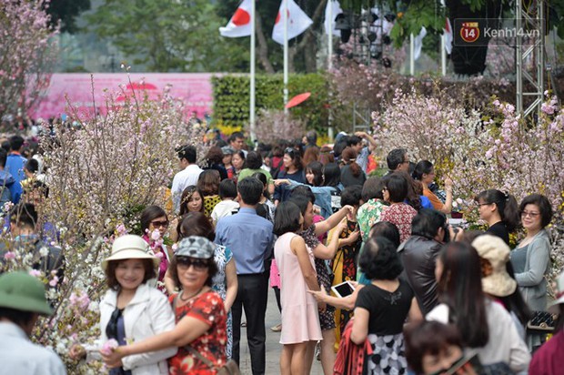 Hàng ngàn người dân Hà Nội chen chúc trong buổi sáng đầu tiên mở cửa Lễ hội hoa anh đào - Ảnh 1.