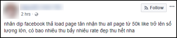 Facebook cho phép tạo Fanpage cá nhân, người dùng phản đối vì nhận thông báo liên tục lại còn bị ép like - Ảnh 4.