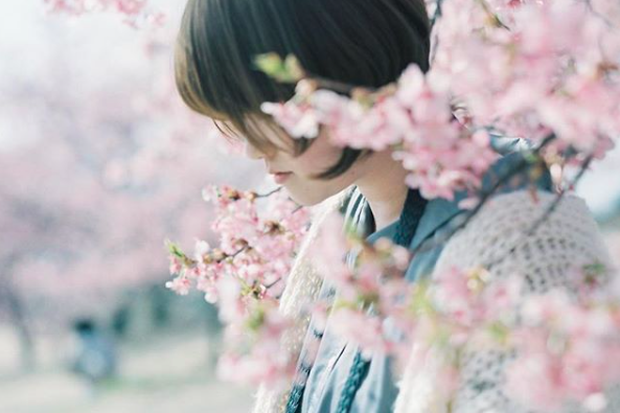 Lướt Instagram từ Âu đến Á là biết mùa hoa anh đào tuyệt đẹp đã thực sự đến rồi! - Ảnh 4.