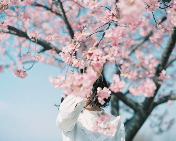 Lướt Instagram từ Âu đến Á là biết mùa hoa anh đào tuyệt đẹp đã thực sự đến rồi! - Ảnh 12.