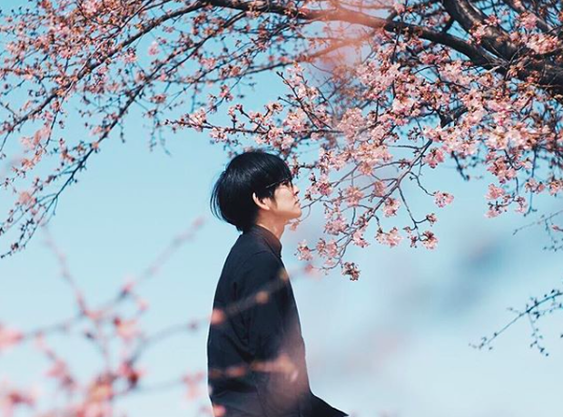 Lướt Instagram từ Âu đến Á là biết mùa hoa anh đào tuyệt đẹp đã thực sự đến rồi! - Ảnh 15.