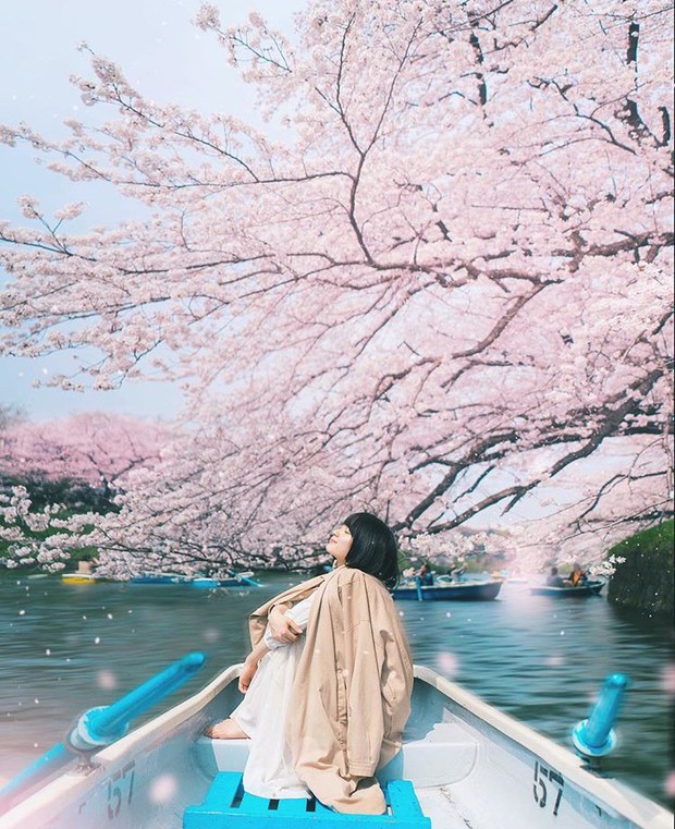 Lướt Instagram từ Âu đến Á là biết mùa hoa anh đào tuyệt đẹp đã thực sự đến rồi! - Ảnh 1.