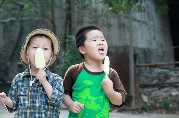 7 món kem đi cùng năm tháng mà chắc chắn tuổi thơ ai cũng từng trải qua - Ảnh 2.