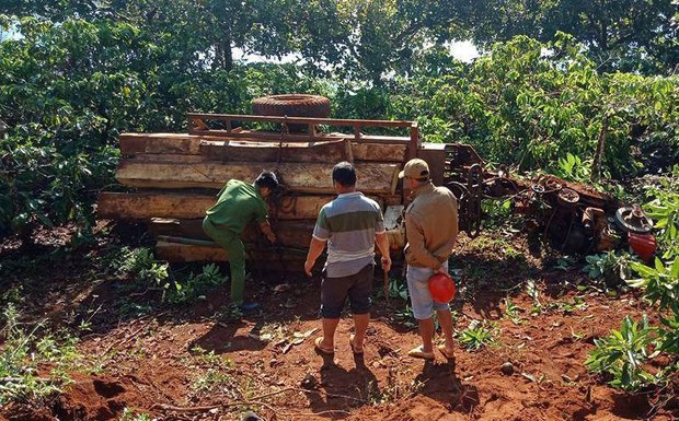 Lật xe công nông chở gỗ lậu, 3 nam thanh niên thương vong - Ảnh 1.