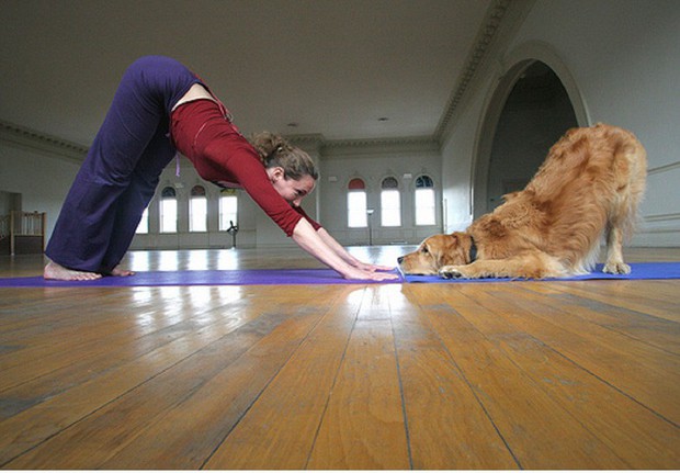 Bạn đã biết đến Doga - Trào lưu kỳ lạ tập yoga cùng... cún? - Ảnh 3.