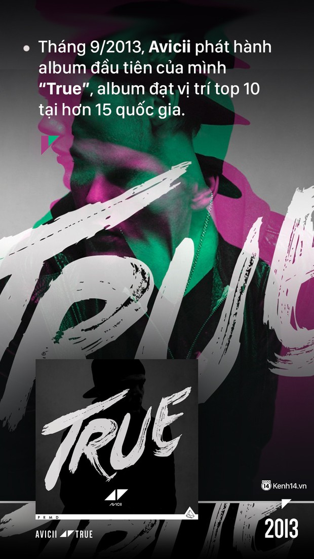 Qua đời ở tuổi 28 nhưng Avicii đã sống một cuộc đời mà ai cũng sẽ nhớ - Ảnh 14.