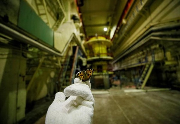 Ám ảnh bên trong nhà máy điện hạt nhân Chernobyl sau hơn 30 năm - Ảnh 4.