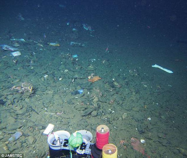 Tìm thấy túi rác nhựa sâu 10.000m dưới đáy biển - kỷ lục vứt rác của loài người là đây - Ảnh 2.