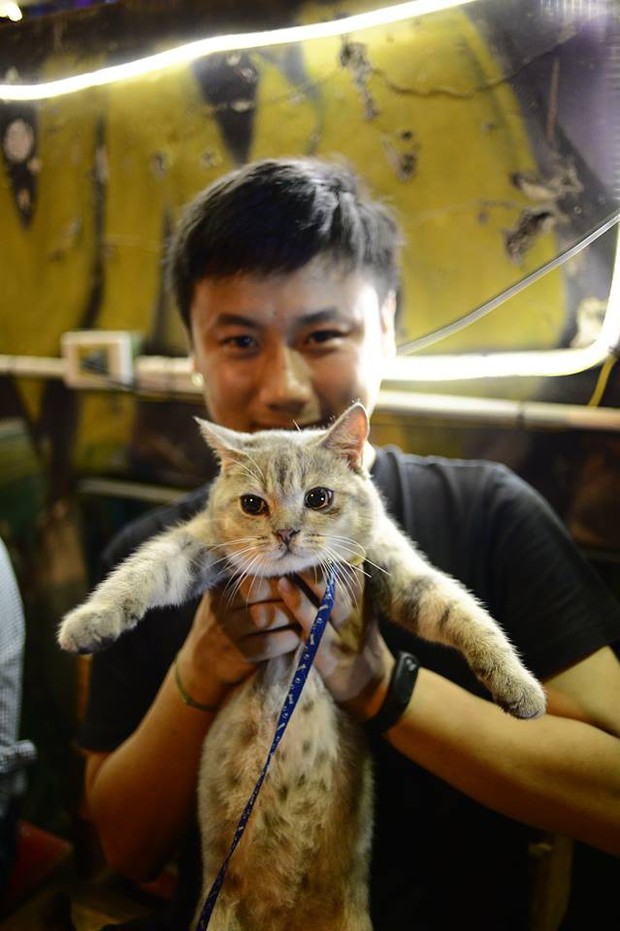 Chú mèo tên Bư nổi tiếng trên MXH bất ngờ qua đời khiến cư dân mạng tiếc nuối - Ảnh 8.