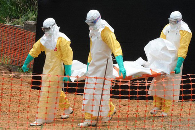 Congo ghi nhận 26 ca tử vong do Ebola, cảnh báo mức nguy hiểm rất cao - Ảnh 1.