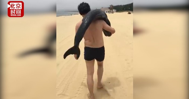 Cảnh sát Trung Quốc truy lùng du khách bắt trộm cá heo mắc kẹt trên bãi biển - Ảnh 2.