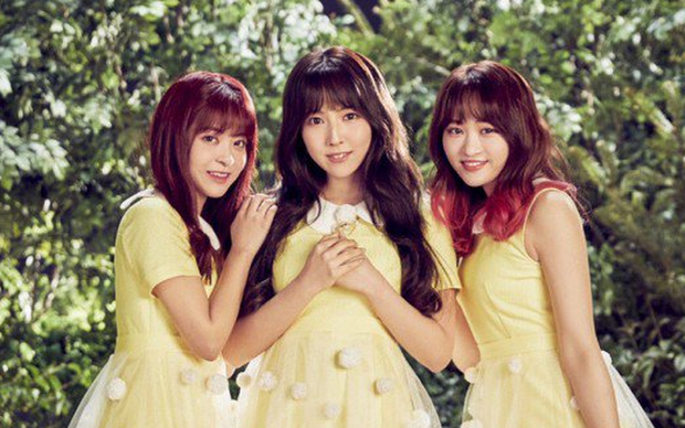 Những kiểu chiêu trò PR gây sốc trong showbiz Hàn: Phẫu thuật thẩm mỹ xấu để quảng bá, dựa hơi và đóng vai nạn nhân - Ảnh 16.