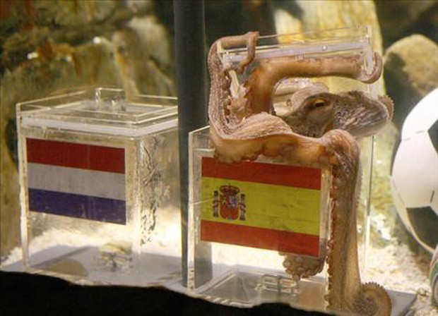 Dự đoán trận khai mạc World Cup 2018: Nga đánh bại Saudi Arabia - Ảnh 3.