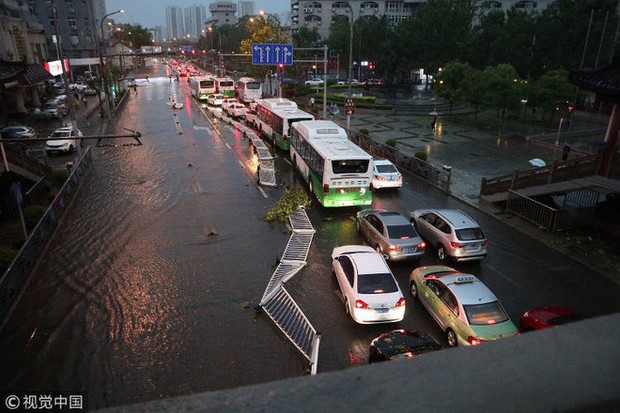 Trung Quốc: Bão lớn khiến hải sản tươi sống trút xuống như mưa trên đường phố - Ảnh 5.