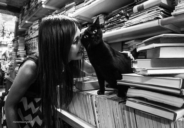 Bộ ảnh Catisfaction chụp lại khoảnh khắc hạnh phúc của những chú mèo - Ảnh 6.