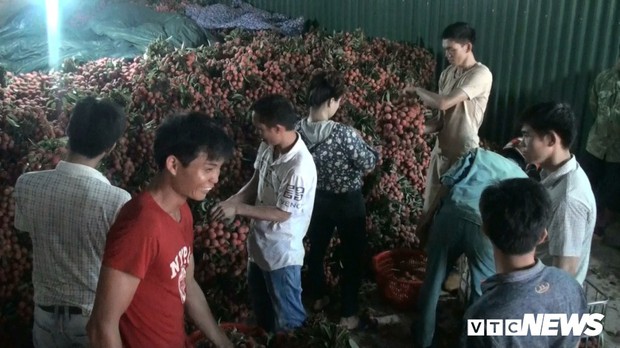 Ảnh: Chợ vùng cao Bắc Giang tắc đường hàng cây số do dân chở vải ra bán - Ảnh 8.