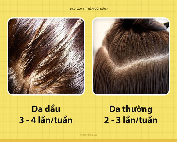 Có nên gội đầu 1 lần/ngày? Đây mới là cách gội thực sự dành cho các chị em! - Ảnh 5.